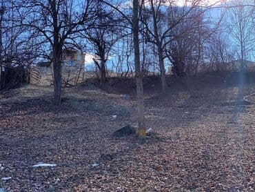 baku electronics xacmaz: 14 sot, Mülkiyyətçi, Kupça (Çıxarış) — 1