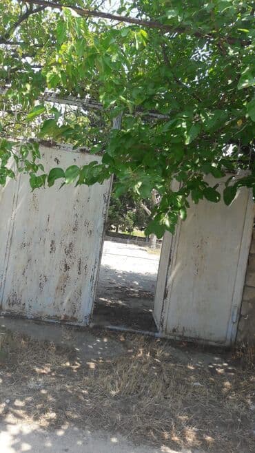 32 sot, Kənd təsərrüfatı, Maklerlər narahat etməsin, Kupça (Çıxarış)