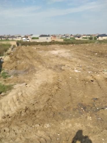 6 sot, Tikinti, Mülkiyyətçi, Kupça (Çıxarış)