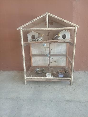 kənd toyuqlarının satışı: Böyük ölçülü quş volyeri – dekorativ damlı dizayn, sıx metal tor və — 2