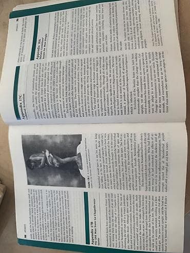 bas gitara: Məhsul: Biologiya üzrə illüstrasiyalı dərslik/kitab Xüsusiyyətlər: - — 6
