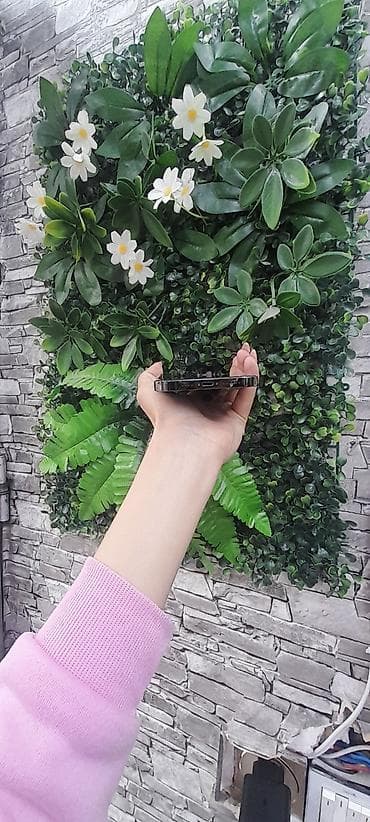 109 ekran televizor: IPhone 13 Pro Max, 128 GB, Qara, Face ID — 4