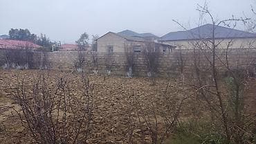 şeki: 7 sot, Mülkiyyətçi, Kupça (Çıxarış) — 6