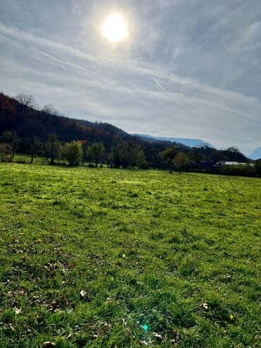 ecemi kiraye ev: 18 sot, Biznes üçün, Kupça (Çıxarış) — 11