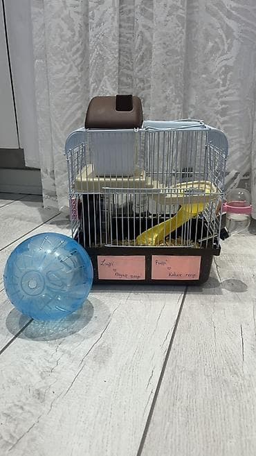 3 aylıq Hamster üçün tam dəst qəfəs və aksesuarlar Məhsulun tərkibi