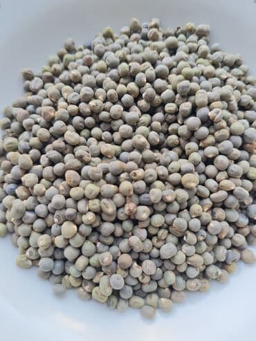 Salam Aleykum Bamiyə toxumu satılır Toxumlar Türkiyəndən gəlir