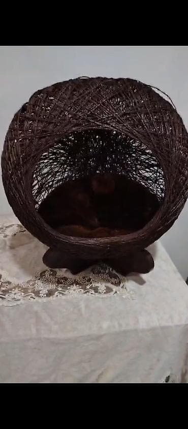 ev sicani: Ev heyvanları üçün dekorativ yuva/evcik - Material: tünd qəhvəyi — 2