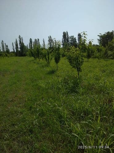 30 mine evler: 240 sot — 5