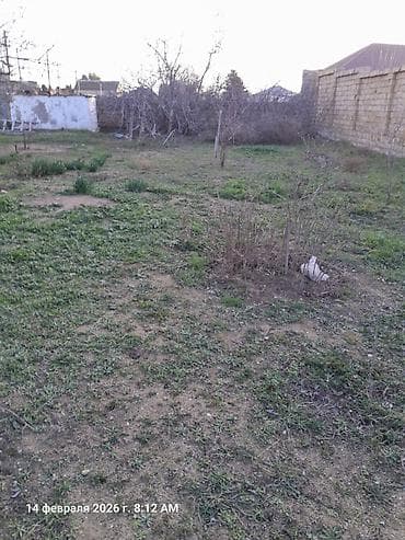 bulbule heyet evleri: 6 sot, Tikinti, Mülkiyyətçi, Kupça (Çıxarış) — 4