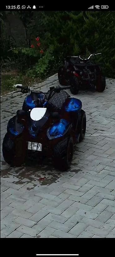 Kvadrosikl – benzinlə işləyən, 4 təkərli off-road ATV - Rəng