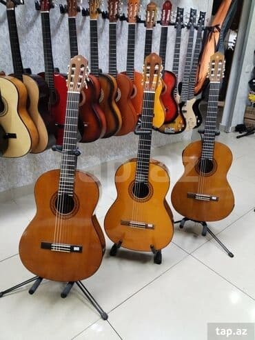 1 ci sinif riyaziyyat iş dəftəri pdf: Klassik gitara, Yeni, Ünvandan götürmə — 13