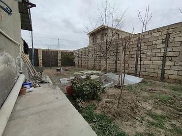 dayə işi 2025: Svag isleri — 5