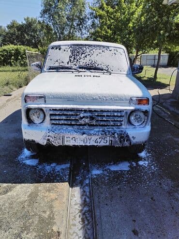işlənmiş traktorların satışı: VAZ (LADA) 4x4 Niva: 1.7 l | Ofrouder/SUV — 9