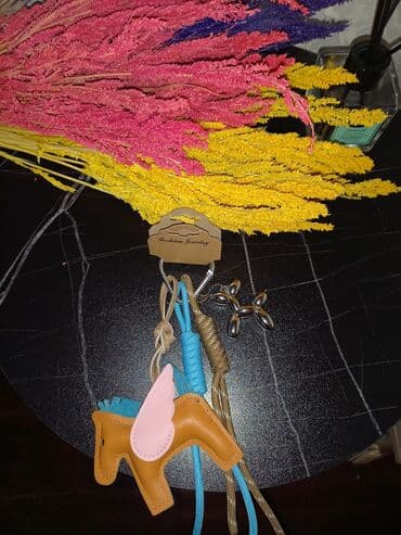 аксессуары для чихуахуа: Müxtəlif dizaynda açarlıq dəstləri Canta ucun ve a car ucun - Nəzər — 5