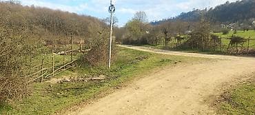 astara rayonu: Tikinti — 2