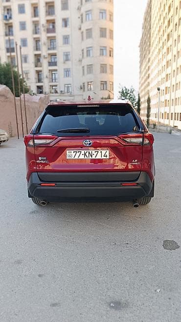 led duman: Toyota RAV4: 2.5 l | 2022 il Krossover — 3