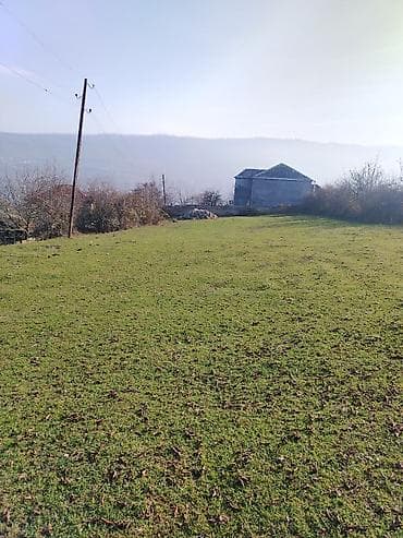 Otaqlar: 14 sot, Tikinti, Mülkiyyətçi, Kupça (Çıxarış) — 1