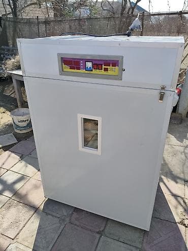 İstehsal avadanlığı: 1100 yumurta, Çin, Tam avtomat — 8