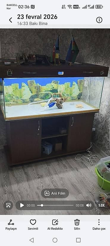 akvarium balik: Akvaryum və şkaf dəsti(130x50x50) Şüşə 10-luqdur, şkafın qapağıda var — 6