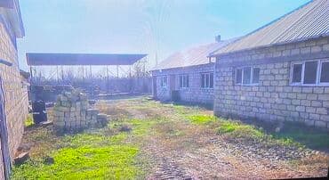 xacmaz rayonu: 12 sot, Kənd təsərrüfatı, Kupça (Çıxarış) — 5