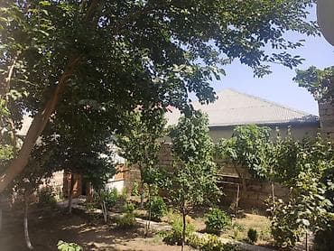 quba heyet evi: 6 otaqlı, 200 kv. m, Kredit var, Yeni təmirli — 4