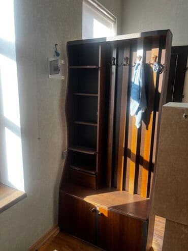 taxta dolab: Qarderob, paltar dolabı — 1