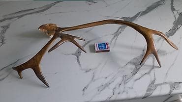 Pastel dəstləri: Təbii maral və ceyran buynuzları – dekorativ kolleksiya Məhsul — 5