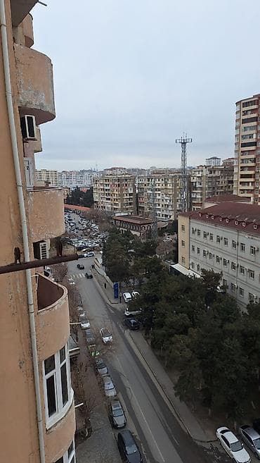 zigda satilan bina evleri: 3 otaqlı, Yeni tikili, 115 kv. m — 4