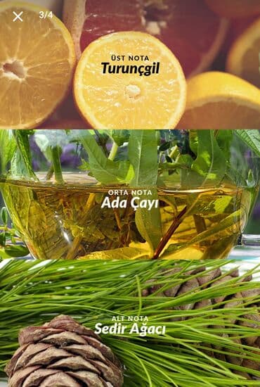 sublime nature tonka bean: Avon Perceive for Men – kişilər üçün təravətli ətir (EDT) - Ətirlə — 3