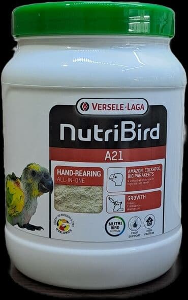 pişik yem: Tutuquşu balalarının əllə bəsləmə maması.Tutuquşu balalarını şprislə — 5