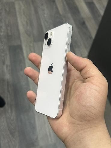 IPhone 13, Ağ