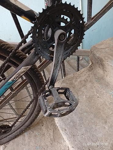 velosiped xvz: Orginal və keyfiyyətli möhkəm Trinx markasına aid (24 ölçüdə) — 6