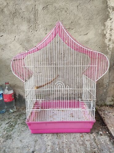 купить клетку для морской свинки: Quş qəfəsləri və aksesuarları qefesler 30-50 Azn Məhsul təsviri: - — 5