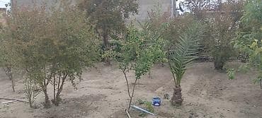 binədə ev: 1 otaqlı, 20 kv. m, Kredit yoxdur, Orta təmir — 10