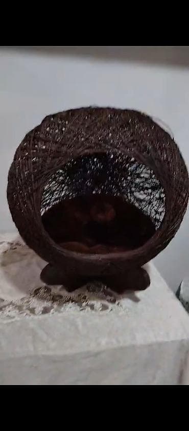 ev sicani: Ev heyvanları üçün dekorativ yuva/evcik - Material: tünd qəhvəyi — 4