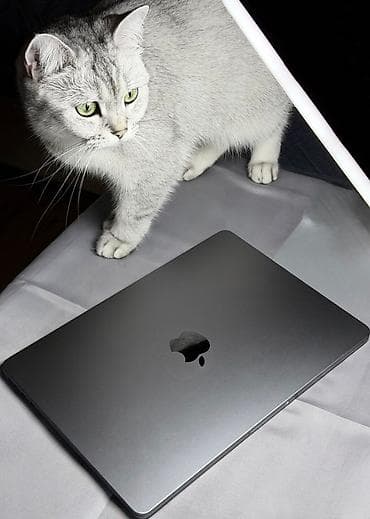 nexus netbuk: MacBook Air M3 (8GB RAM / 512GB SSD) satılır. Rəng: Space Grey (barmaq — 1