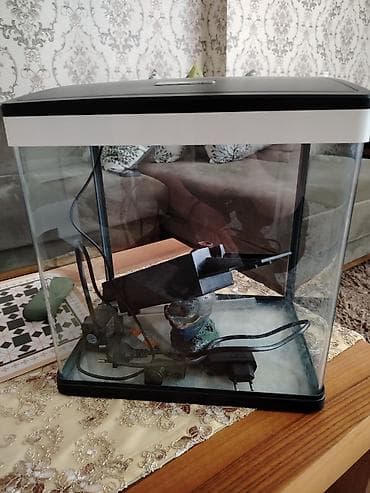 Kompakt akvarium dəsti - Şüşə korpuslu, qapaqlı masaüstü akvarium -