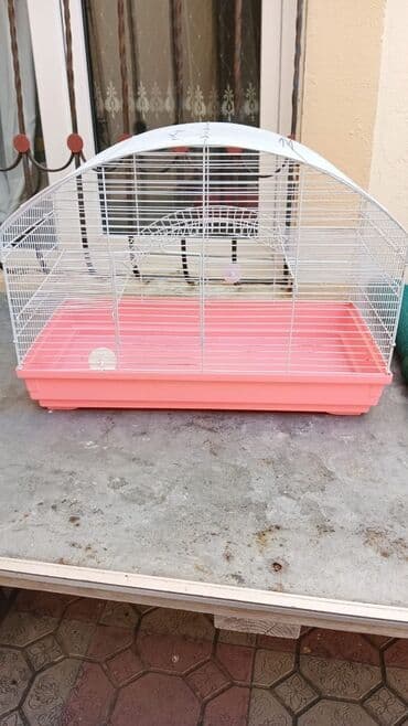 Digər Avtomobillər: Quş qəfəsi – geniş ölçülü, ağ metal barmaqlıqlar və çəhrayı/plastik — 3