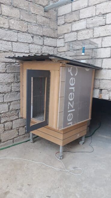 hazir belekler: Salam hazir cut ojirelivi mennen qabag 1defe 2bala verib saglam — 5