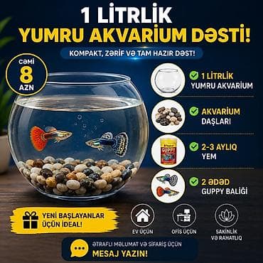 baliq levazimatlari satisi: Yumru akvarium, Balıqlarla birlikdə, 1 l, Ünvandan götürmə, Ödənişli çatdırılma — 1