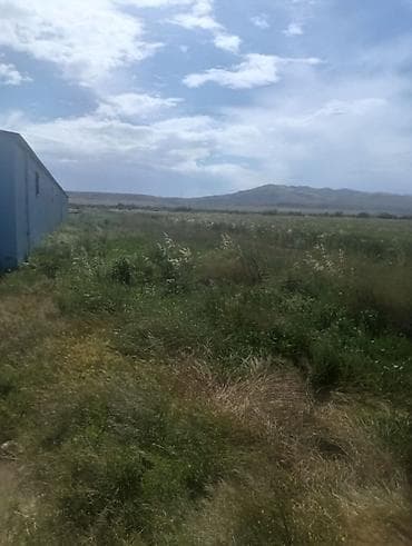 Гаражи: Xızı rayonu, Bakı–Quba yolu, Yaşma qəsəbəsi — ferma və əkinçilik üçün — 9