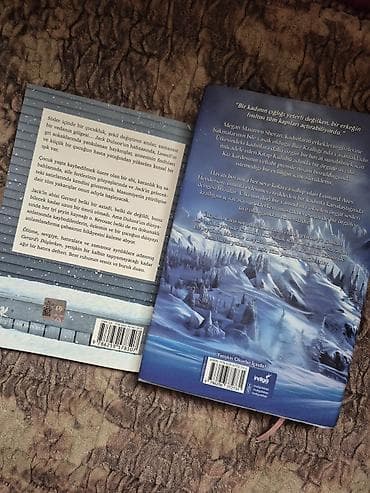 İş dəftərləri: Buz krallığı ( Sena Nur), Gerard'ı Düşlerken ( Jack Kerouac) ikisinin — 2