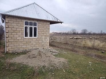 binede torpag: 42 sot — 3