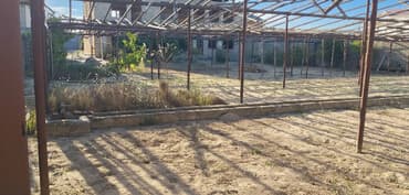 18 sot, Tikinti, Mülkiyyətçi, Kupça (Çıxarış) lalafo.az -da 18 sot, Tikinti, Mülkiyyətçi, Kupça (Çıxarış)