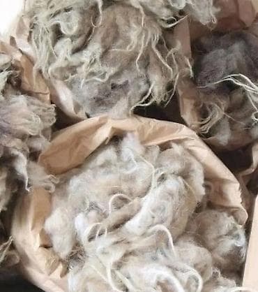 Quşlar: Məhsul: Təbii qoyun yunu (xam yun) Təsvir: - Yüksək lif sıxlığına və — 5