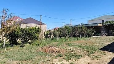 hokmelide satilan evler: Bağ evi satılır, Məhəmmədidə yerəşir,1 otaq, 1 Mətbəx, sanitar qovşağı — 2
