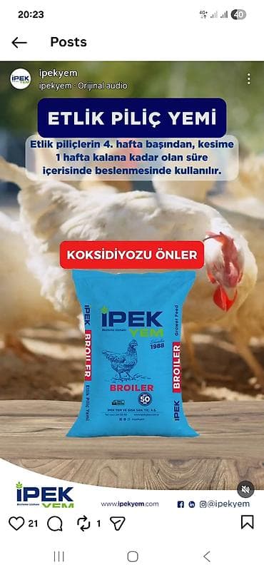 heyvan doşəyi: Məhsul: İPEK YEM – quşçuluq üçün peşəkar yem çeşidləri (Net 50 kq — 4