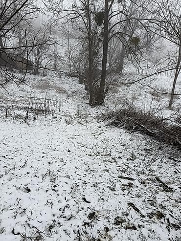 berdede torpaq satilir: 4 sot, Tikinti, Maklerlər narahat etməsin, Kupça (Çıxarış) — 7