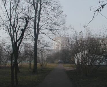 canon eos 650: Kamera yenikimidir baxmayaraq ki 1999 istehsalıdır,Hal hazırdada — 8