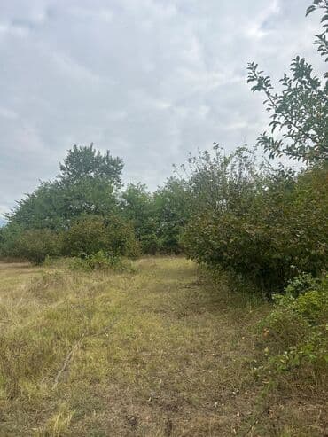 qubada torpaq satilir 2020: 110 sot, Tikinti — 17